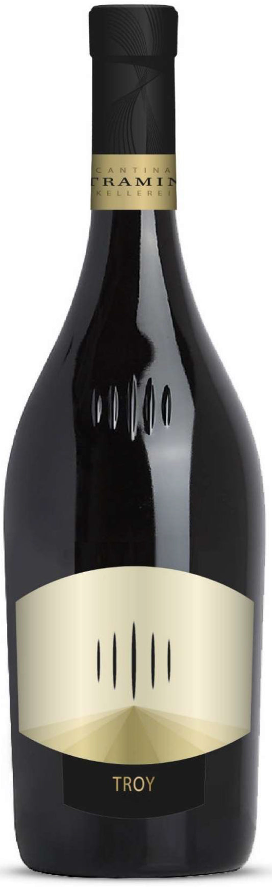 Chardonnay Riserva TROY DOC 2016